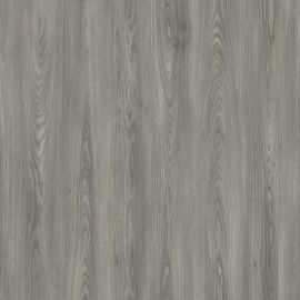 1551 Burnished Elm